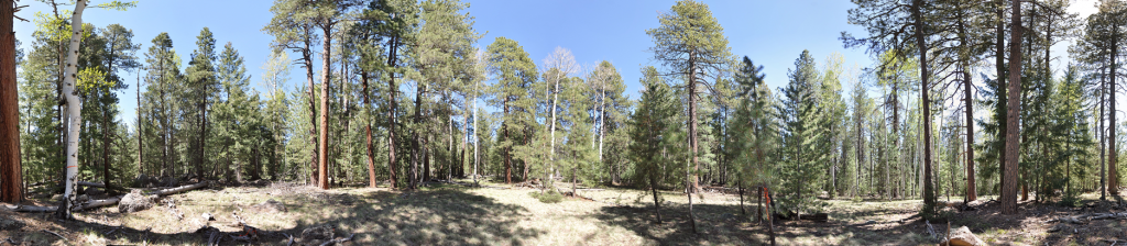 DSC_0135_stitch